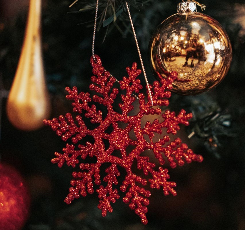 The Magic of a Christmas Tree With Lights