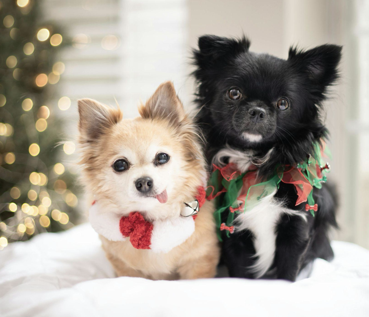 The Perfect 9ft Christmas Tree for a Festive Season